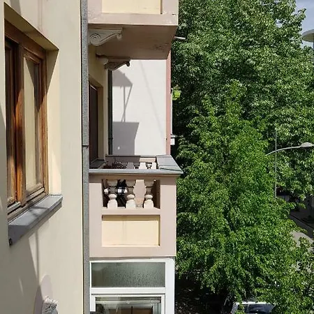 Krsta * Novi Sad